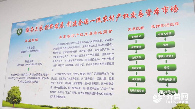 产权交易服务